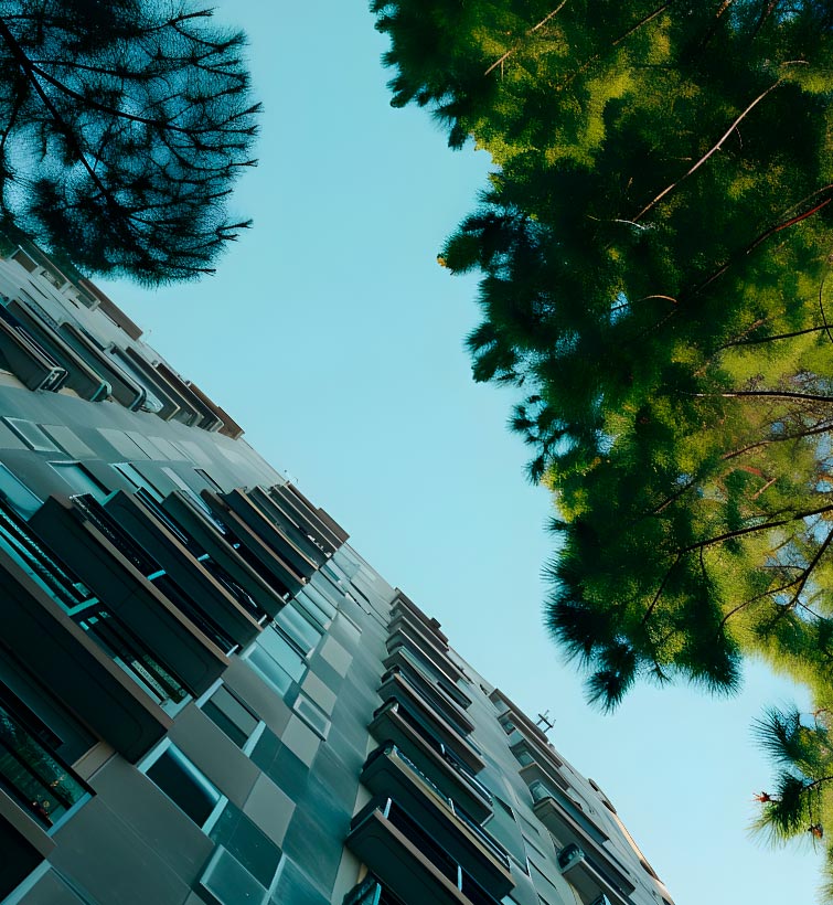 Edificio visto desde abajo junto a un árbol